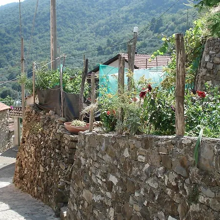 Garassini